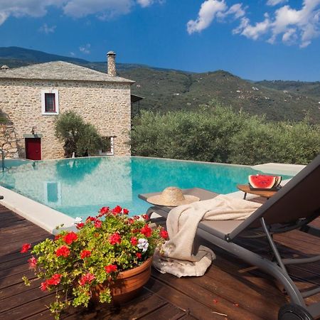 Villa Andromachi By Pelion Esties Άνω Γατζέα Εξωτερικό φωτογραφία