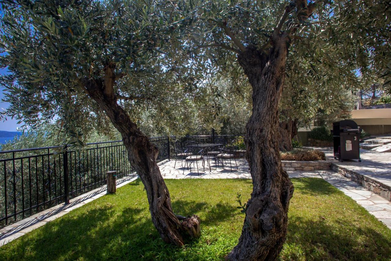 Villa Andromachi By Pelion Esties Άνω Γατζέα Εξωτερικό φωτογραφία