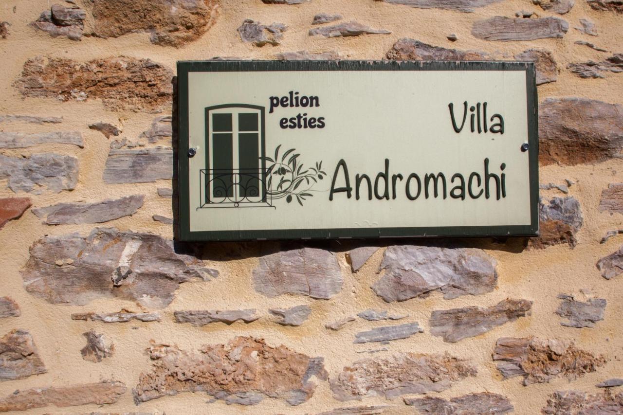 Villa Andromachi By Pelion Esties Άνω Γατζέα Εξωτερικό φωτογραφία